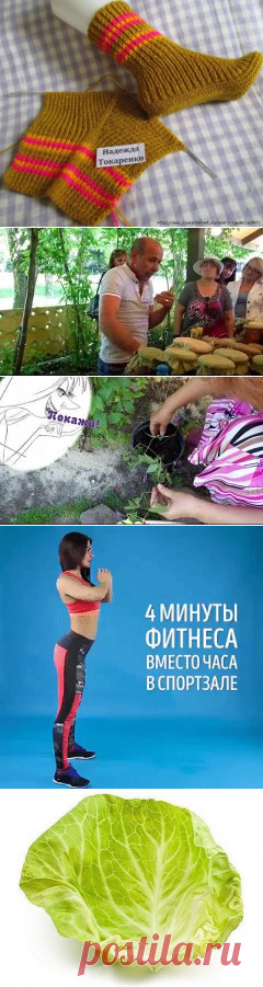 (1) Одноклассники