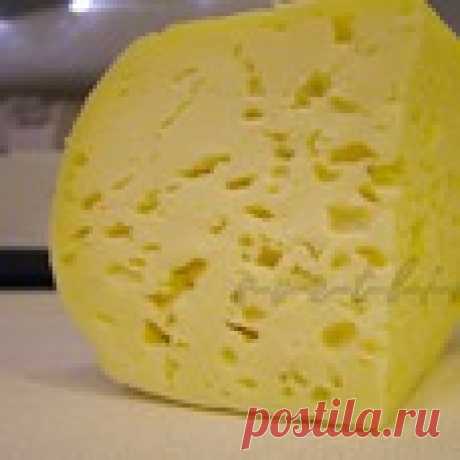 Домашний твердый сыр - кулинарный рецепт