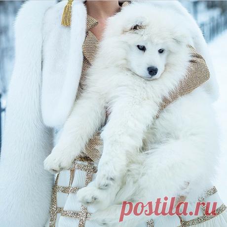 (56) Одноклассники