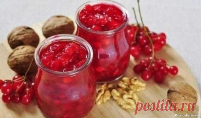 Польза калины для здоровья