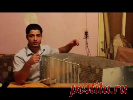 Самая бюджетная клетка для кролика