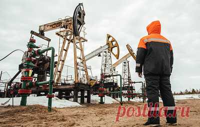 Ответ России на потолок цен на нефть и мирный план Зеленского. Темы брифинга Пескова