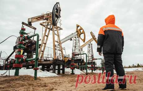 Ответ России на потолок цен на нефть и мирный план Зеленского. Темы брифинга Пескова