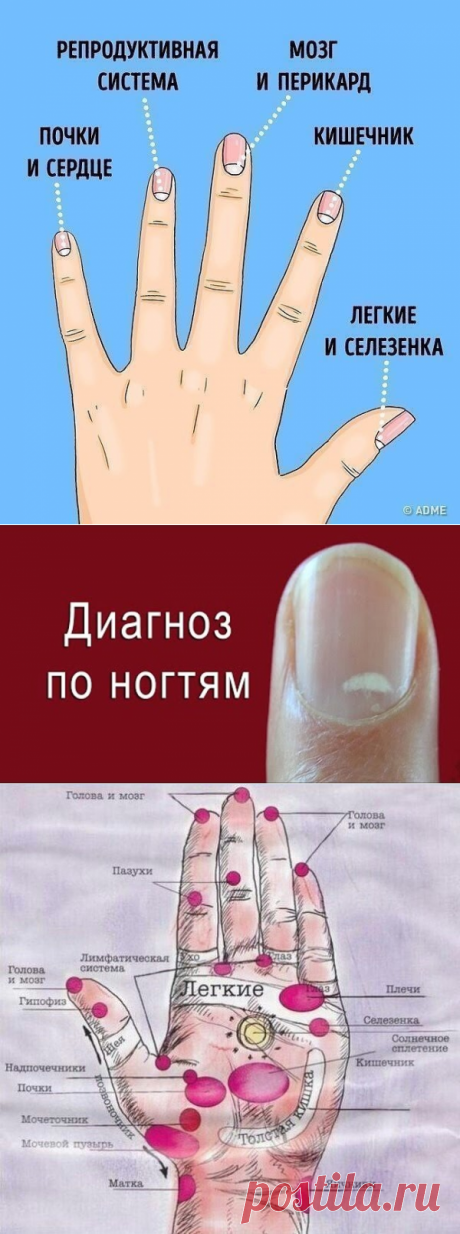 (4) Одноклассники