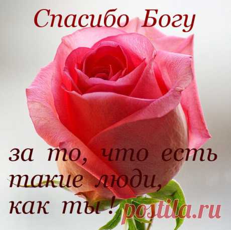 (3) Мой Мир@Mail.Ru