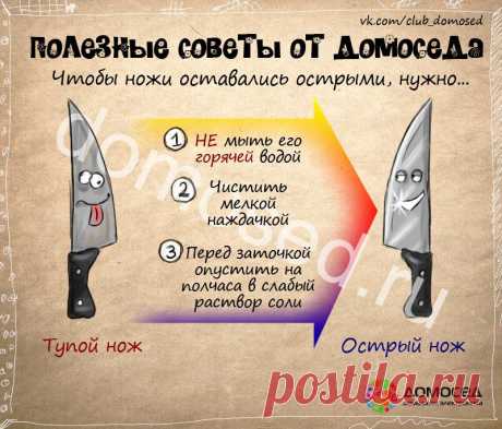 Полезные советы от Домоседа | ДОМАШНИЙ ОЧАГ
