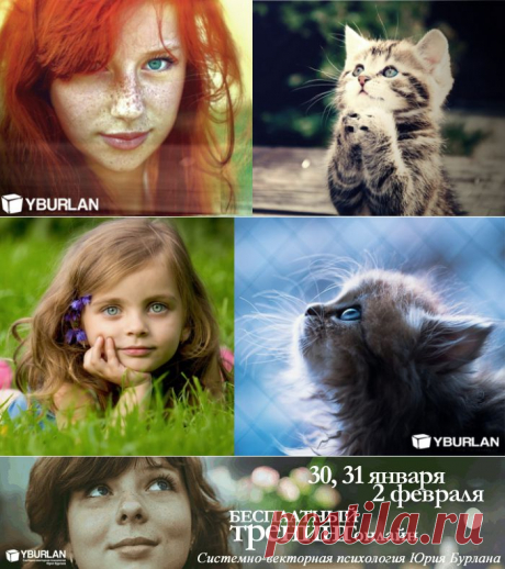 psikhologiya: Моя любовь к животным. Ми-ми-ми