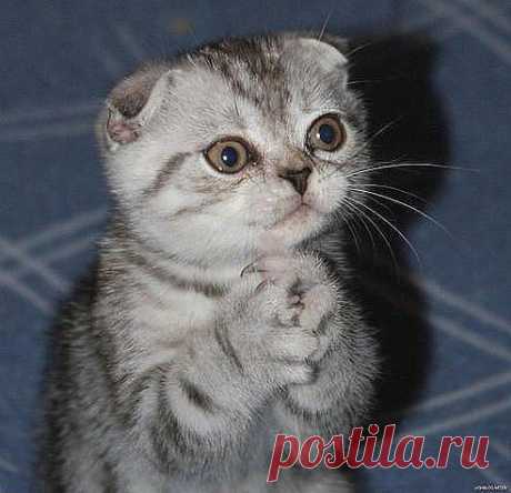 (48) Одноклассники