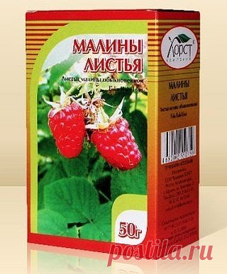 6 ЛЕЧЕБНЫХ НАПИТКОВ ДЛЯ ЖЕНЩИН.
Чтобы сохранить молодость, женственность, привлекательность и хорошее настроение, не обязательно пить 
