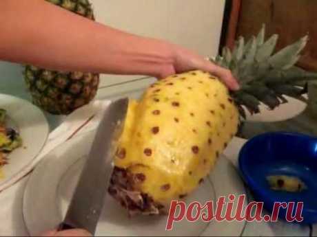 Everything PINEAPPLE &amp; The SECRET 2 Germinating The SEEDS FASTER | Ep. 66 | How To