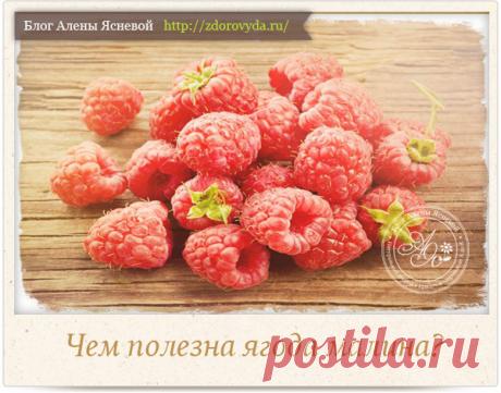 Чем полезна малина - раскрываем все секреты сладкой ягоды