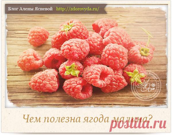 Чем полезна малина - раскрываем все секреты сладкой ягоды