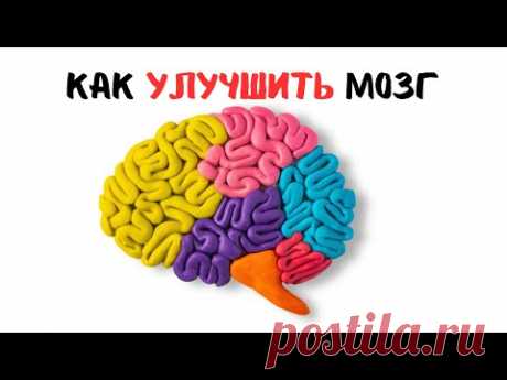 Раскрой потенциал мозга: как сохранить здоровье и остроту ума