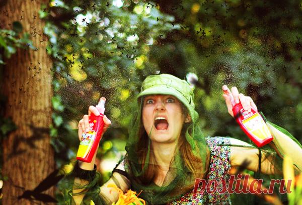 Как защититься от комаров