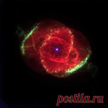 красота
