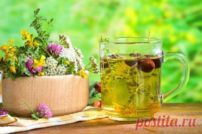 Очищение лимфы: золотые рецепты фитотерапии | Всегда в форме!