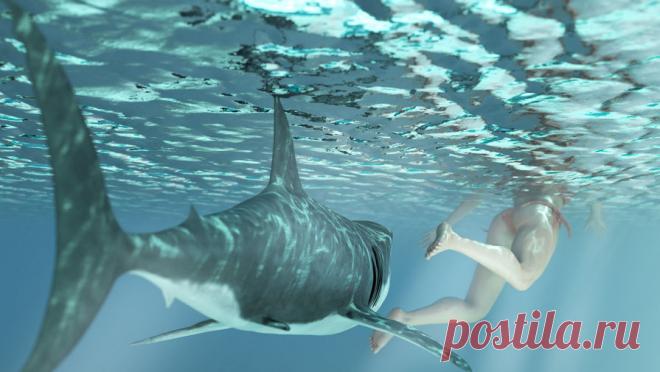 В Австралии акула напала на женщину. В Австралии на купавшуюся женщину напала акула. Об этом сообщает ABC News. По информации издания, инцидент произошел у пляжа города Бичпорт в Южной Австралии. Акула напала на женщину, когда та купалась. Хищница дважды атаковала ее. ...