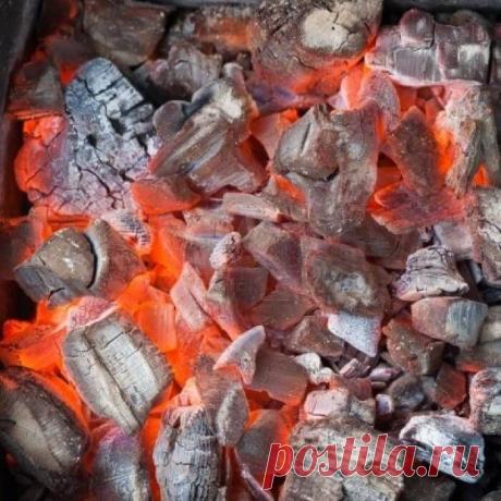 Лечение золой в народной медицине - Экологическое землетворчество | Экологическое землетворчество