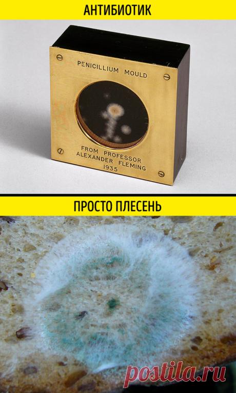 7 вещей, которые полезно знать, прежде чем запивать антибиотик травяным чаем