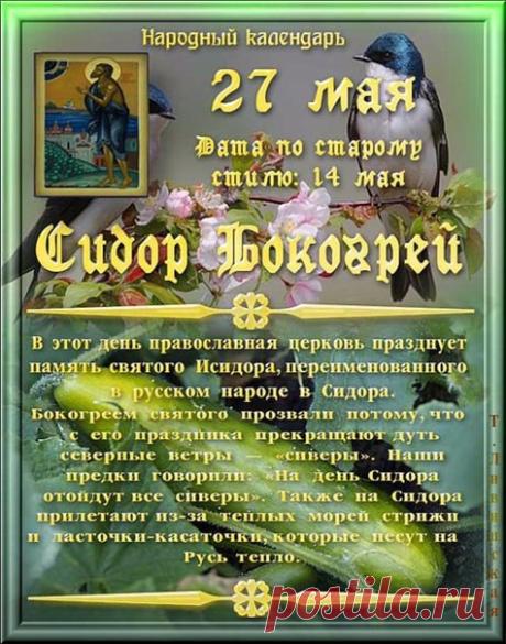 С праздником Бокогрея! Желаю вечного тепла в сердце, ясного неба над головой и отличной погоды в доме! Открытки на Сидор Бокогрей!
