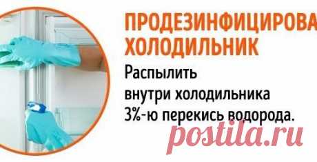 10 ситуаций, в которых спасет перекись водорода! 
Сохрани, чтобы не потерять! 

#советы_в_быту@m_lifehack 
#креативные_идеи@m_lifehack