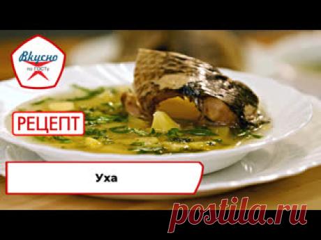 «Вкусно по ГОСТу»: готовим уху