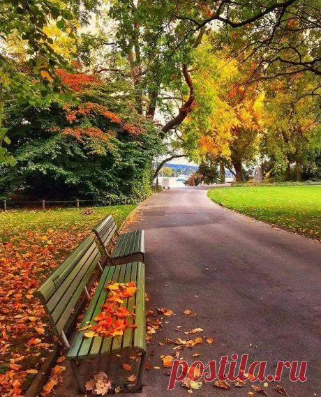 Александр Анисимов - Google+