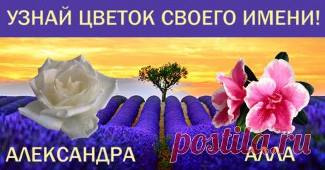 Узнай секрет своего имени, который принесет удачу! Точность 100 %. Теперь только эти цветы.