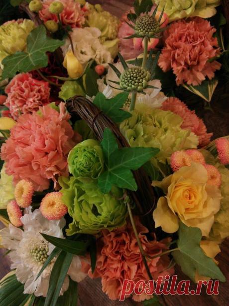 флористика