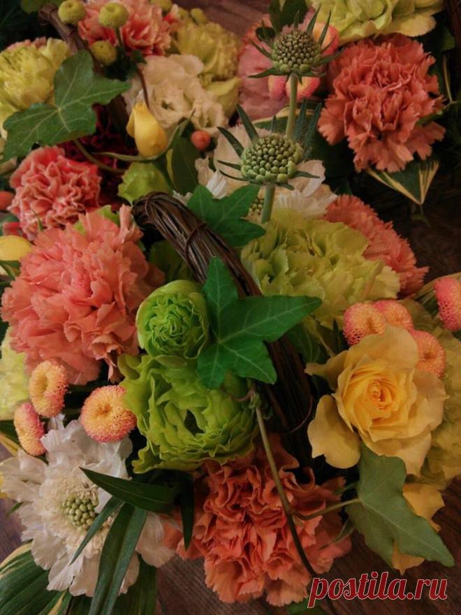 флористика