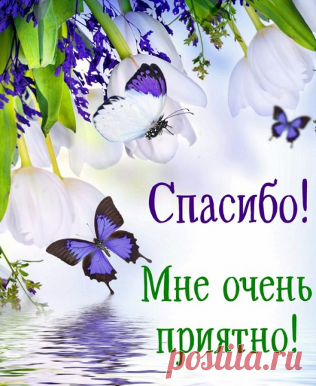 Открытка спасибо - бабочки на красивом цветочном фоне. Скачать бесплатно или отправить открытку.