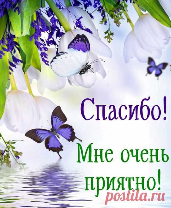 Открытка спасибо - бабочки на красивом цветочном фоне. Скачать бесплатно или отправить открытку.