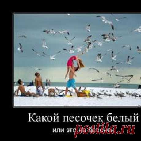 Как создать gif анимацию?