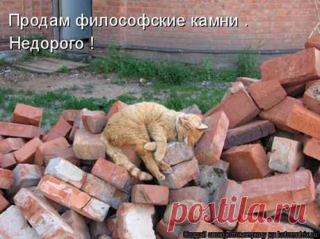 Котэшки