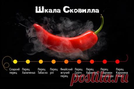 25 лучших сортов острого перца для открытого грунта и теплицы: самые ранние, крупные и жгучие | Lifestyle | Селдон Новости