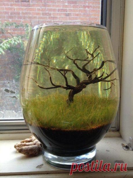 Миниатюрный аквариум как элемент декора ~ Planetalsad