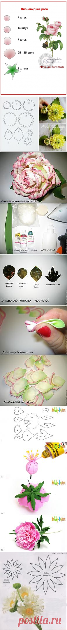 wjDxGVKo56w.jpg (724×1024) | Шаблоны цветов | Розы и Фотографии
