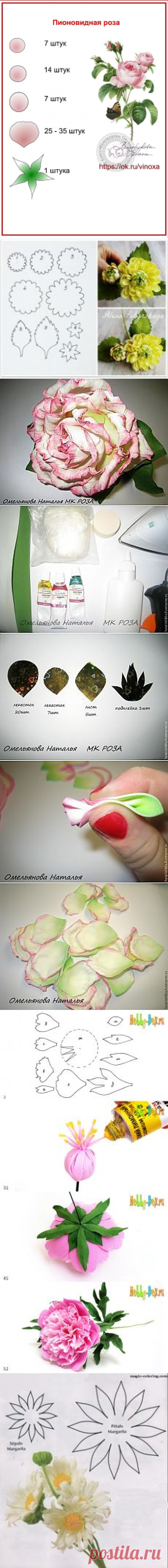 wjDxGVKo56w.jpg (724×1024) | Шаблоны цветов | Розы и Фотографии