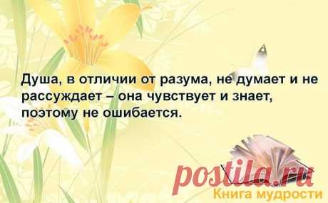 •КНИГА МУДРОСТИ - ЦИТАТЫ И АФОРИЗМЫ™•