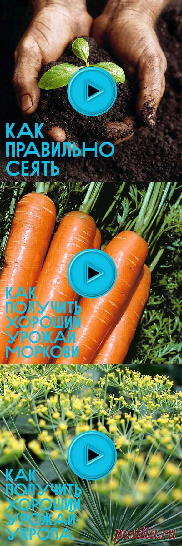 50видеосоветов для огородника