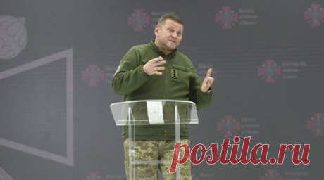 Экс-премьер Украины Азаров: отставка Залужного зависит от США, а не от Зеленского. Вопрос отставки главкома ВСУ Валерия Залужного зависит от Соединённых Штатов, а не от Владимира Зеленского. Об этом заявил бывший премьер Украины Николай Азаров. Читать далее