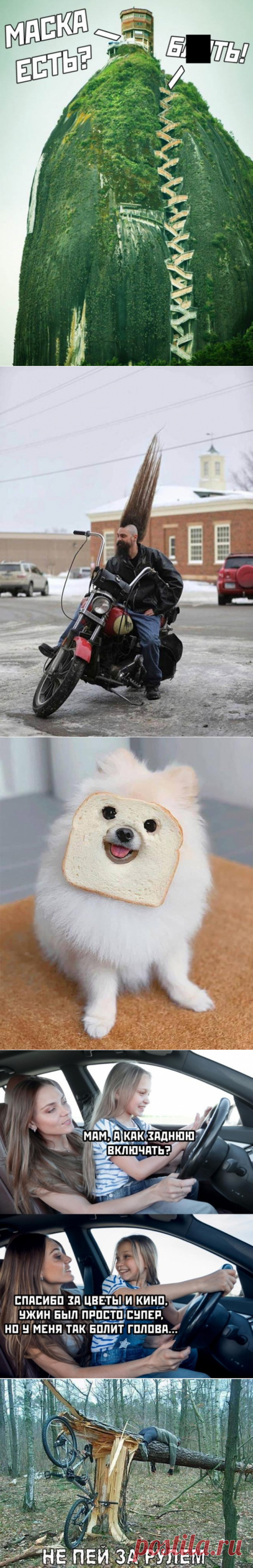 Подборка прикольных картинок и фотографий-260