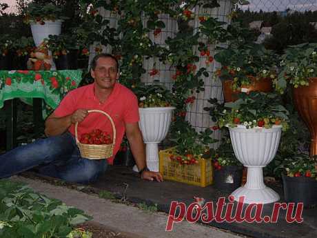 ХОЗЯИН- АНДРЕЙ КУТУКОВ-40 ЛЕТ. МАГНИТОГОРС. В ОДНОКЛАССНИКИ ВСЕ ВОПРОСЫ К НЕМУ