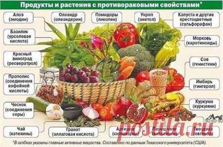 ПРОДУКТЫ и РАСТЕНИЯ с ПРОТИВОРАКОВЫМИ свойствами