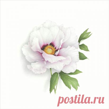 Найдено на сайте madamkartinki.blogspot.gr.