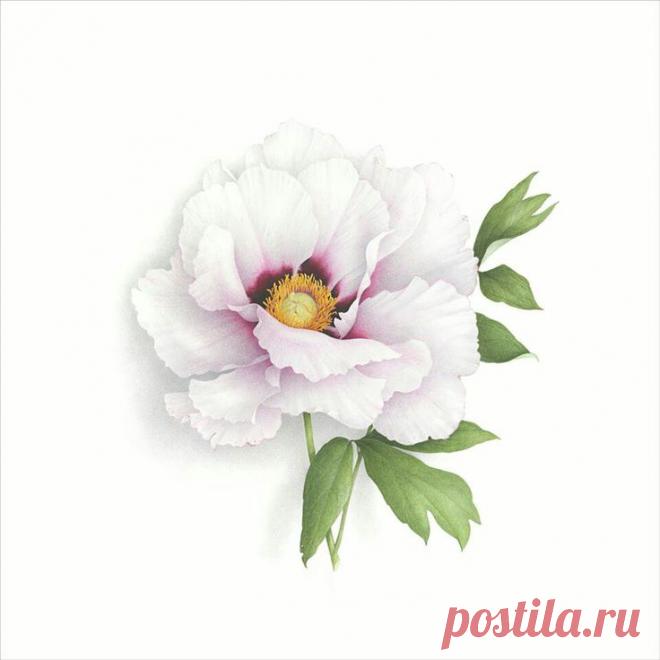 Найдено на сайте madamkartinki.blogspot.gr.