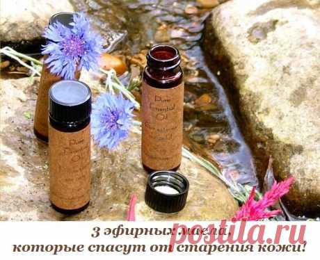 3 эфирных масла от старения кожи