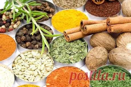 Интересные новости