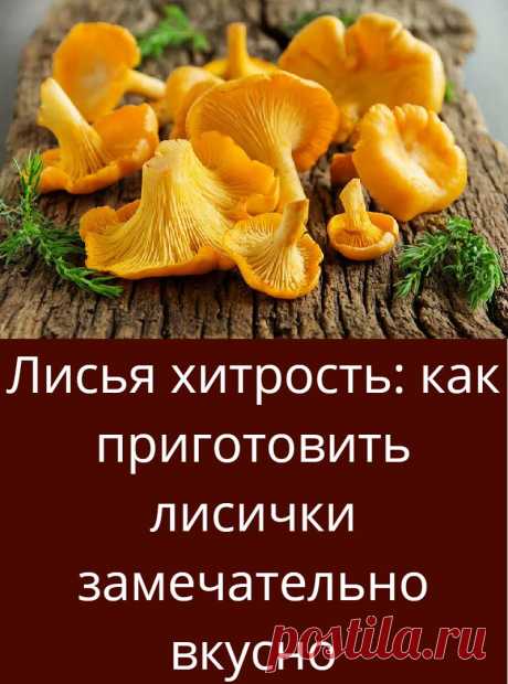 Лисья хитрость: как приготовить лисички замечательно вкусно