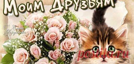 Татьяна Прокошева - Киров, Кировская обл., Россия, 44 года на Мой Мир@Mail.ru